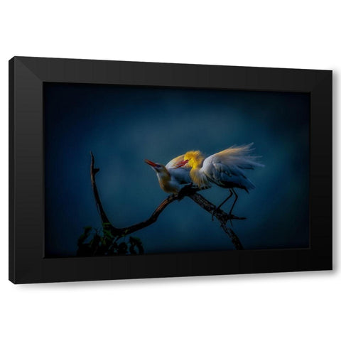 Season Of Joy Black Modern Wood Framed Art Print with Double Matting by Yamashita, Takafumi