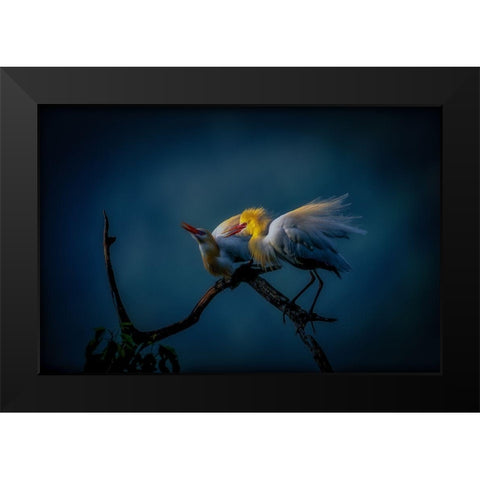 Season Of Joy Black Modern Wood Framed Art Print by Yamashita, Takafumi