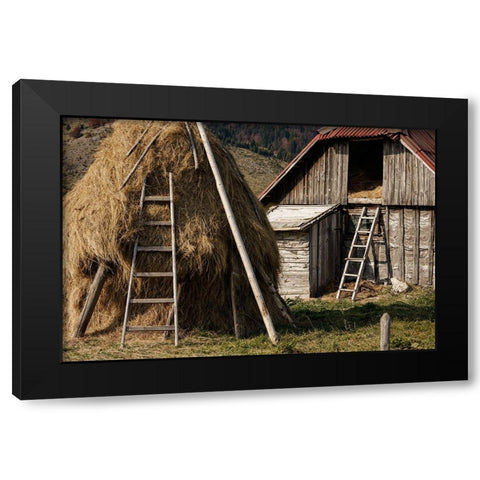 Rural Black Modern Wood Framed Art Print by Jo, Madeline