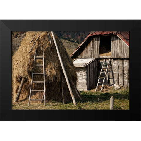 Rural Black Modern Wood Framed Art Print by Jo, Madeline