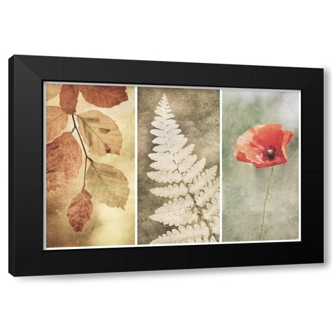 Untitled Black Modern Wood Framed Art Print with Double Matting by Davidsson, Gustav