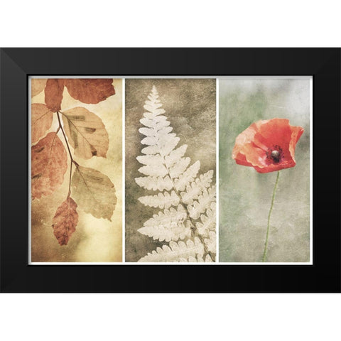 Untitled Black Modern Wood Framed Art Print by Davidsson, Gustav