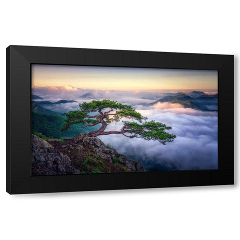 On The Rock Black Modern Wood Framed Art Print with Double Matting by Seo, Tiger