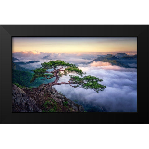 On The Rock Black Modern Wood Framed Art Print by Seo, Tiger