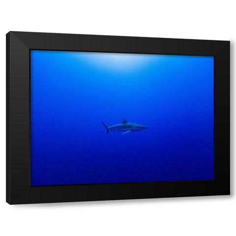 Into The Blue Black Modern Wood Framed Art Print with Double Matting by Melesan, Serge