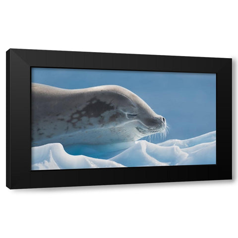 Peaceful Black Modern Wood Framed Art Print by Wang, Yun