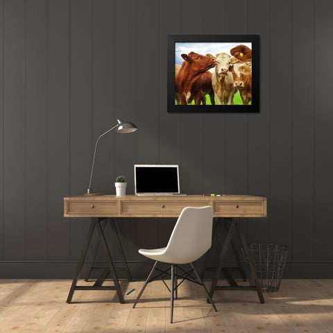 Pre Shoot Black Modern Wood Framed Art Print by Clark, Ray