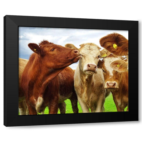 Pre Shoot Black Modern Wood Framed Art Print with Double Matting by Clark, Ray