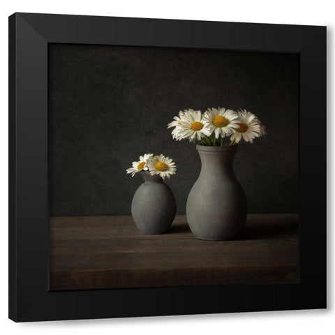 Daisies Black Modern Wood Framed Art Print by Veenstra, Ytje