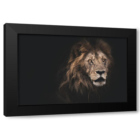 Royalty Black Modern Wood Framed Art Print by Loesch, Frederic