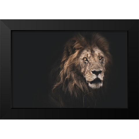 Royalty Black Modern Wood Framed Art Print by Loesch, Frederic