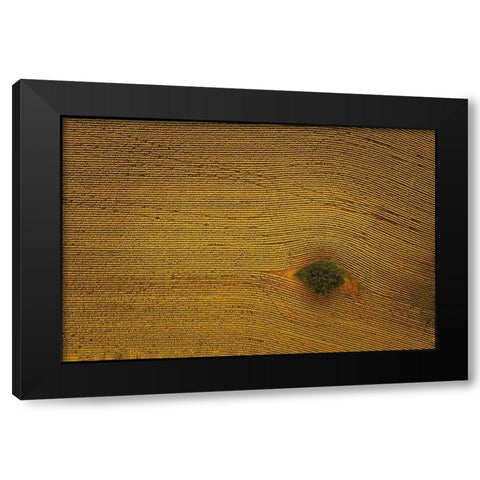 Eye In Field Black Modern Wood Framed Art Print by Zheng, Michael