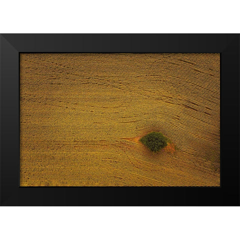Eye In Field Black Modern Wood Framed Art Print by Zheng, Michael