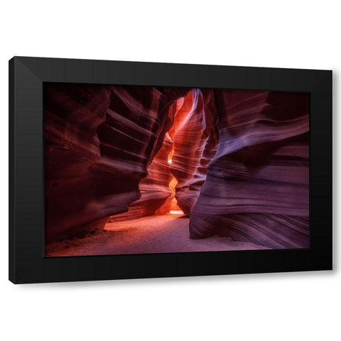 Antelope Black Modern Wood Framed Art Print with Double Matting by Alvarez Osorio, Cesar