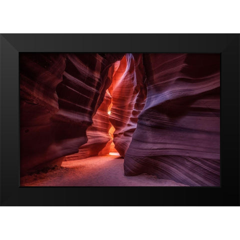 Antelope Black Modern Wood Framed Art Print by Alvarez Osorio, Cesar