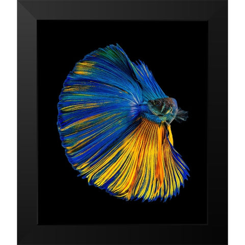 Yellow A Blue Black Modern Wood Framed Art Print by Halil, Andi