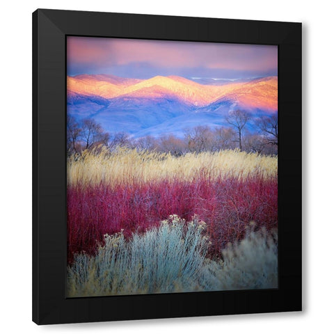 Field Layers Black Modern Wood Framed Art Print by Kirbyturnage