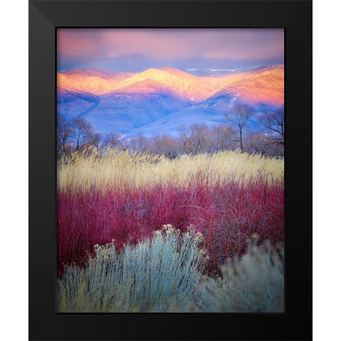 Field Layers Black Modern Wood Framed Art Print by Kirbyturnage