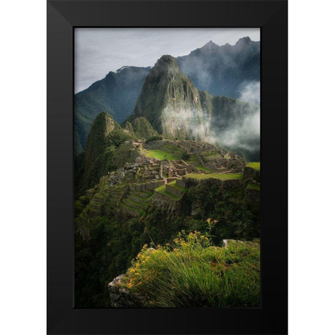 Andean Garden Black Modern Wood Framed Art Print by K. Papp, James
