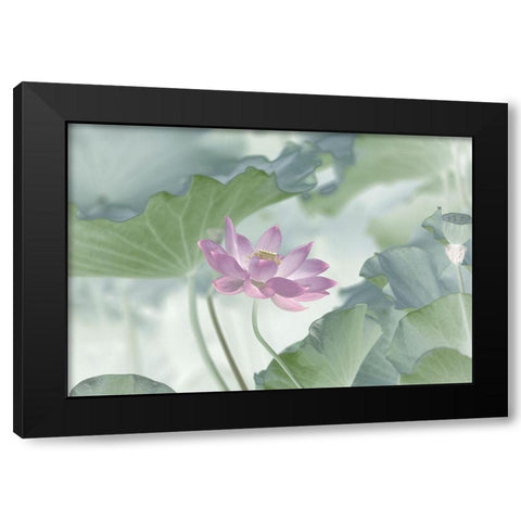 Lotus Black Modern Wood Framed Art Print by L., Binbin