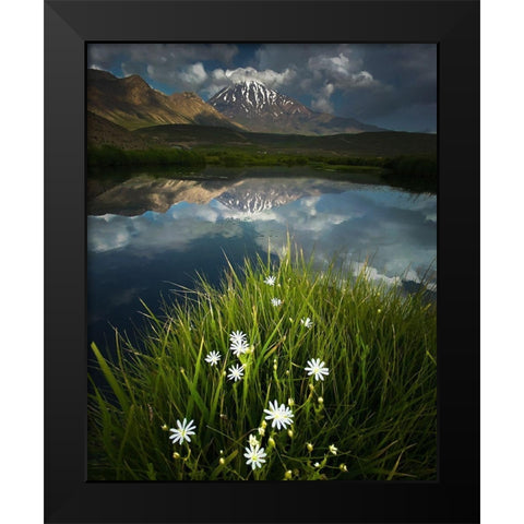 Summer Theme In Alborz Heights Black Modern Wood Framed Art Print by Behzad, Majid