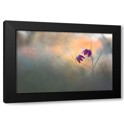 Spring Danse Black Modern Wood Framed Art Print by Blomme, Sebastien