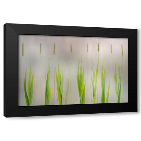 Harmony Black Modern Wood Framed Art Print with Double Matting by Van Son, Greetje
