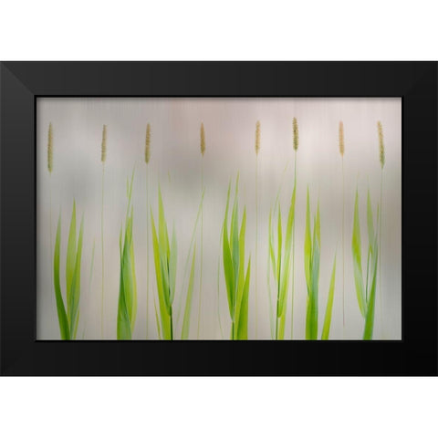 Harmony Black Modern Wood Framed Art Print by Van Son, Greetje