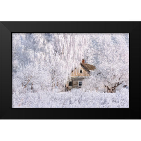 Winter Tale Black Modern Wood Framed Art Print by Sokolovsky, Vlad