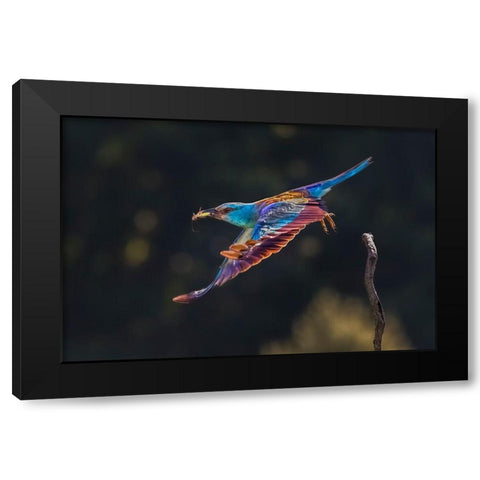 Busy For Feeding Black Modern Wood Framed Art Print by Zuo, Jun