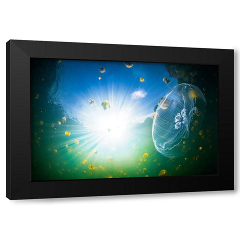 Medusa Aurelia Black Modern Wood Framed Art Print by Gabriel, Barathieu