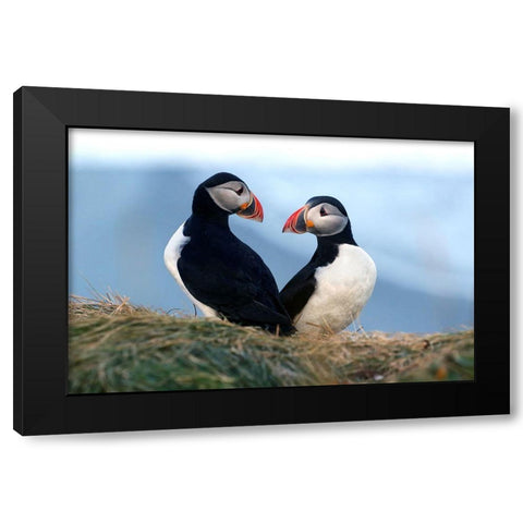 Is This Love Black Modern Wood Framed Art Print by Redaelli, Marco