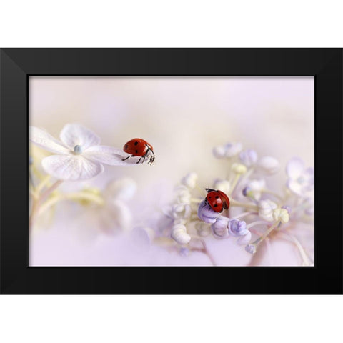 Small Friends Black Modern Wood Framed Art Print by Van Deelen, Ellen