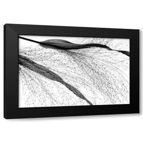 Black Grass Black Modern Wood Framed Art Print with Double Matting by Dingemans, Saskia