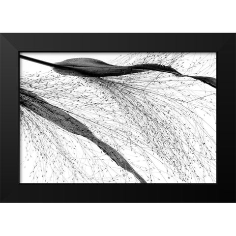 Black Grass Black Modern Wood Framed Art Print by Dingemans, Saskia