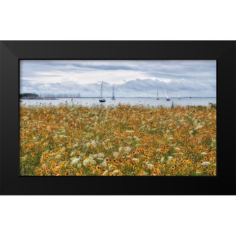 Untitled Black Modern Wood Framed Art Print by Hansen, Kurt