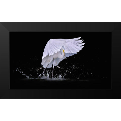 I See You Black Modern Wood Framed Art Print by Zhao, Qing