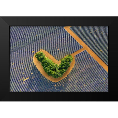 The Heart Black Modern Wood Framed Art Print by Pelissier, Marc