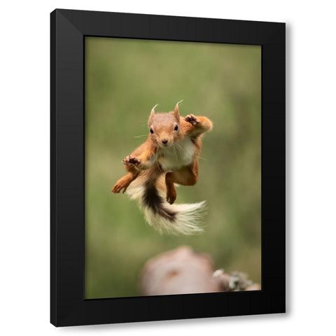 Ninja Dancing Black Modern Wood Framed Art Print by Ashton-Jones, Howard