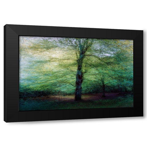 Forest Black Modern Wood Framed Art Print with Double Matting by Antonio Cobo, Marco