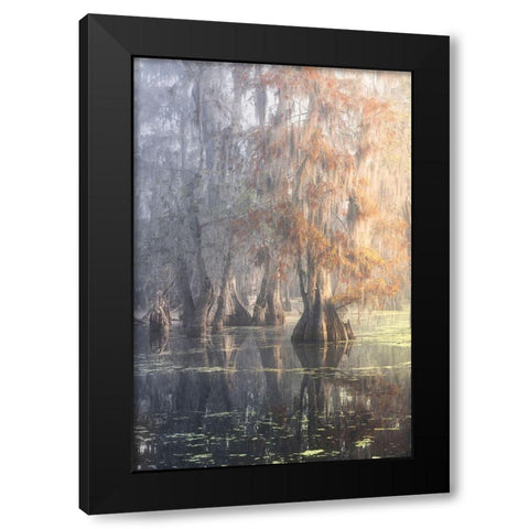 Louisiana Swamp Black Modern Wood Framed Art Print by Marchegiani, Roberto