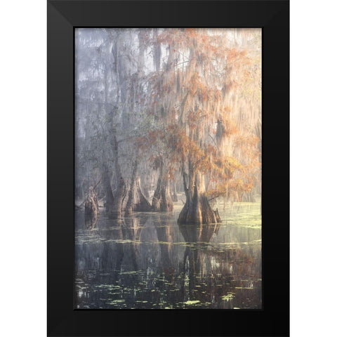 Louisiana Swamp Black Modern Wood Framed Art Print by Marchegiani, Roberto