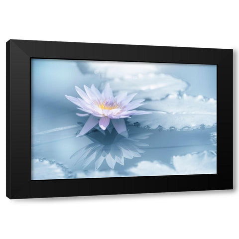 Reflection Black Modern Wood Framed Art Print with Double Matting by Suzuki, Takashi