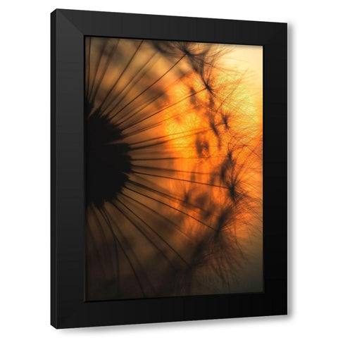 Sunset Black Modern Wood Framed Art Print with Double Matting by Siegers, Ricky