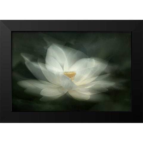 Swaying Black Modern Wood Framed Art Print by Zhao, Qing