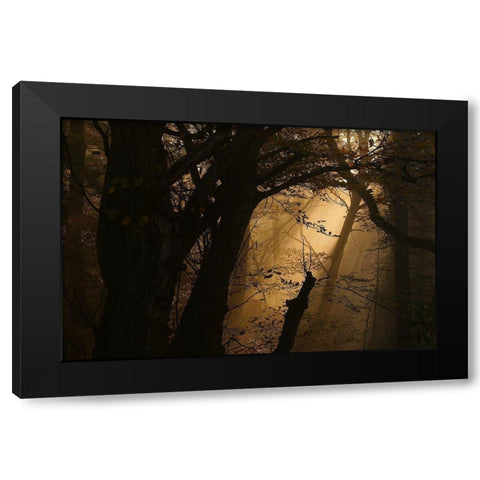 Colors Of Fall Black Modern Wood Framed Art Print by Maier, Norbert