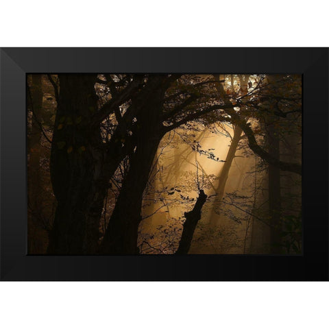 Colors Of Fall Black Modern Wood Framed Art Print by Maier, Norbert