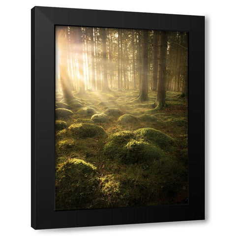 In The Woods Black Modern Wood Framed Art Print by Lindsten, Christian