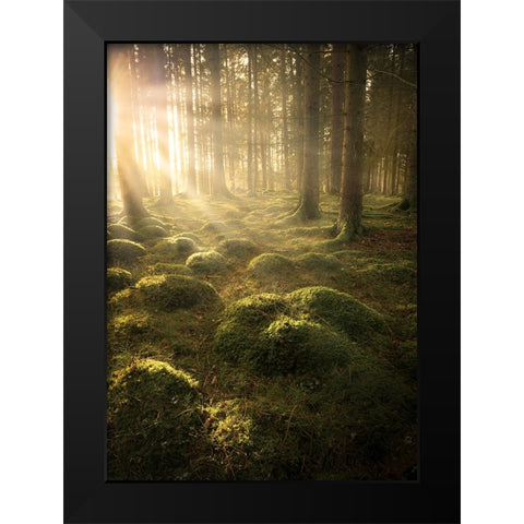 In The Woods Black Modern Wood Framed Art Print by Lindsten, Christian