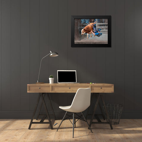Bull Riding Black Modern Wood Framed Art Print by Ma, Frank